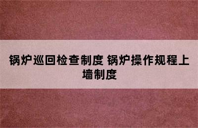 锅炉巡回检查制度 锅炉操作规程上墙制度